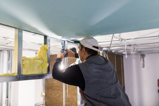 Best Crawl Space Insulation  in Lakehurst, NJ